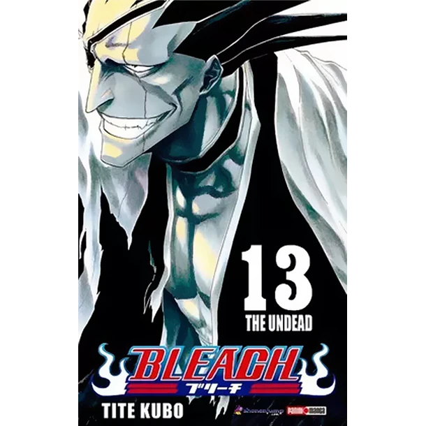 BLEACH  13