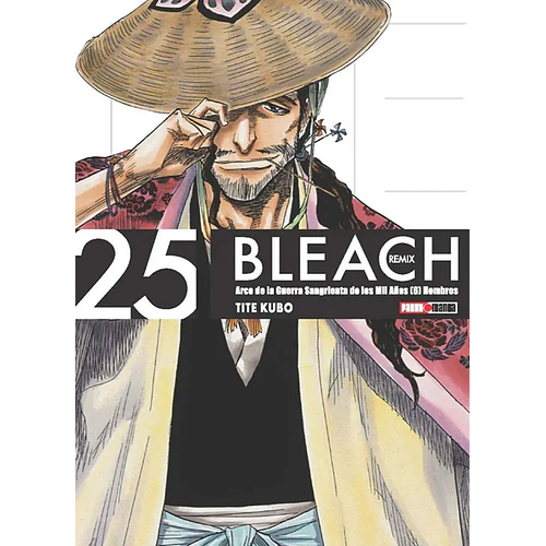 BLEACH REMIX 25