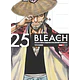BLEACH REMIX 25