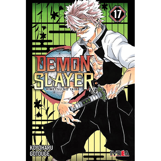 DEMON SLAYER 17