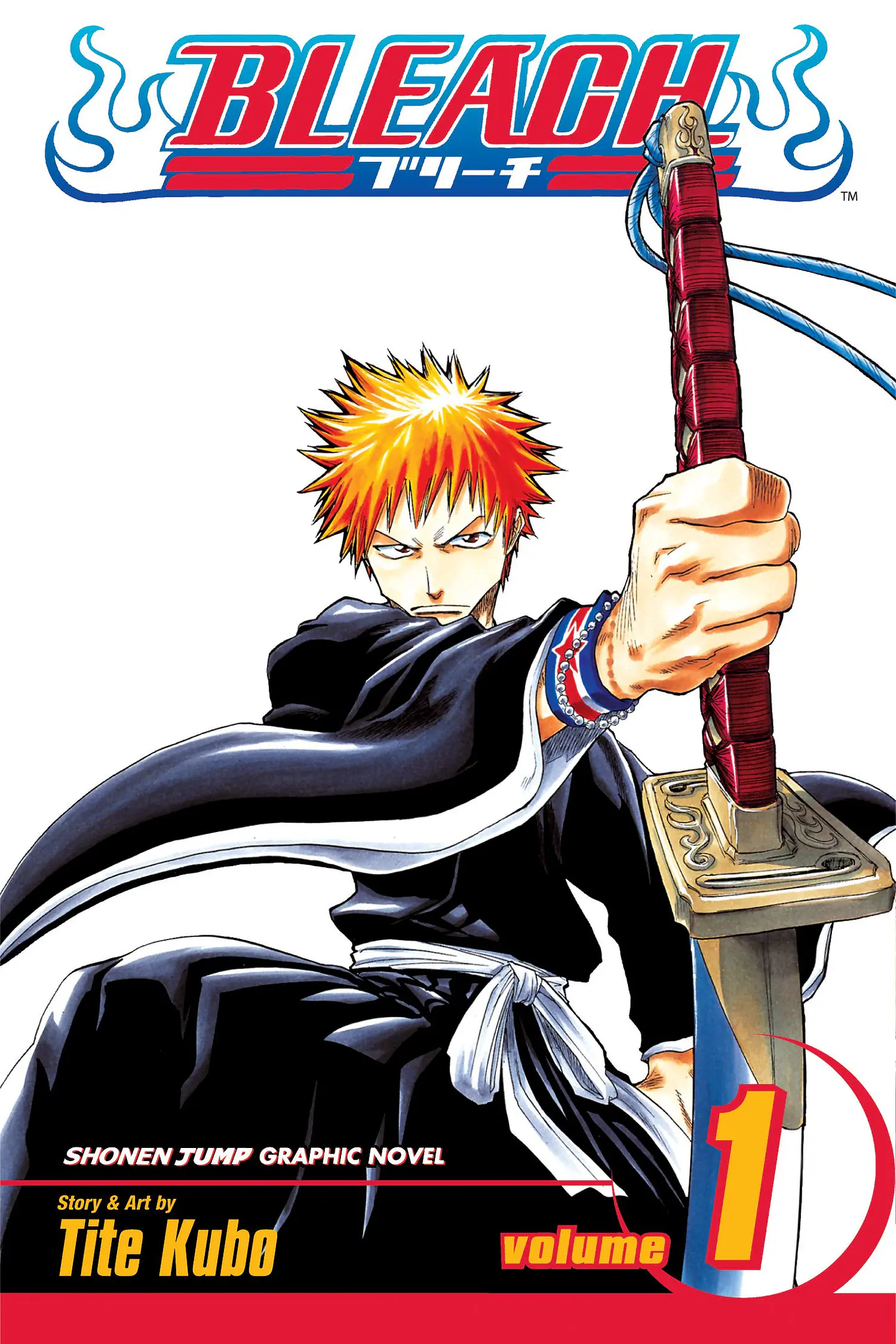 Bleach Volumen 1 1
