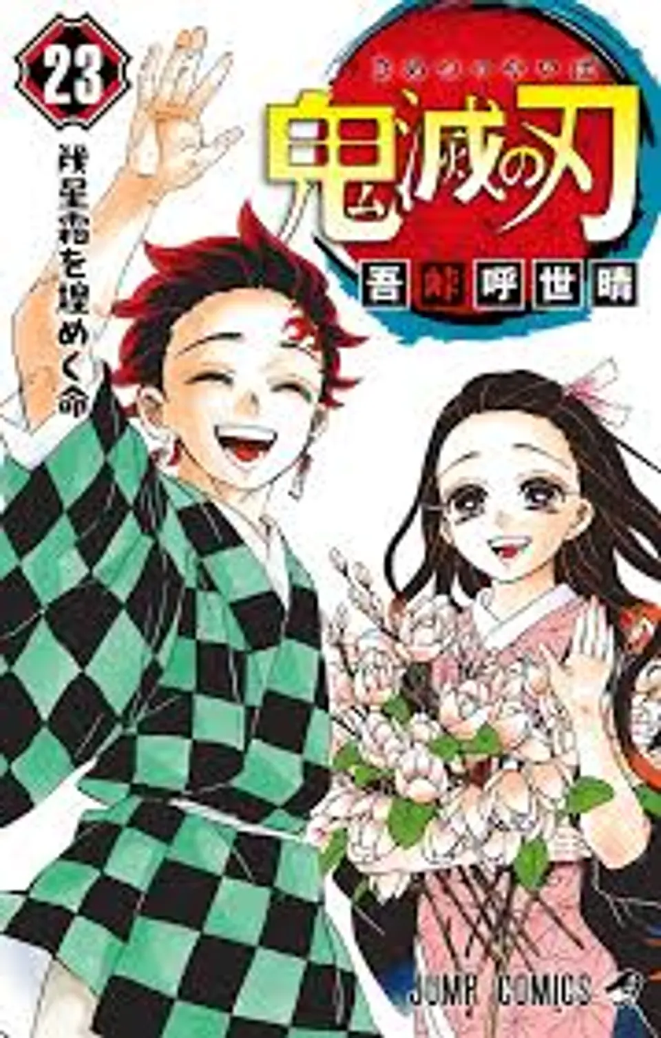 Kimetsu no yaiba Volumen 23 1