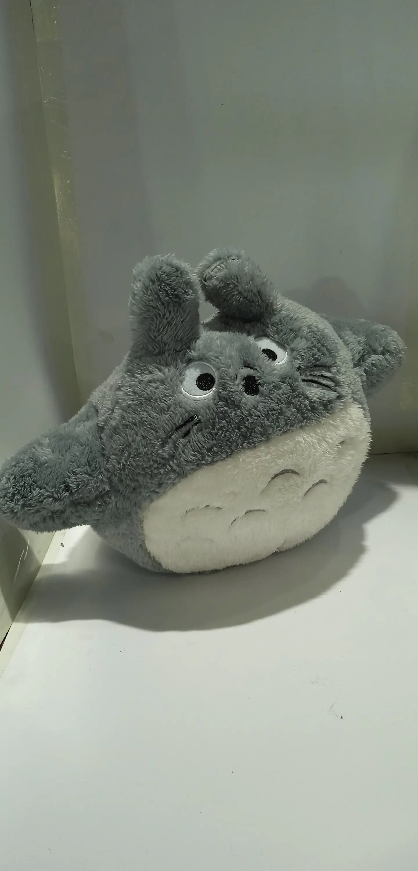 Totoro - Ghibli 1