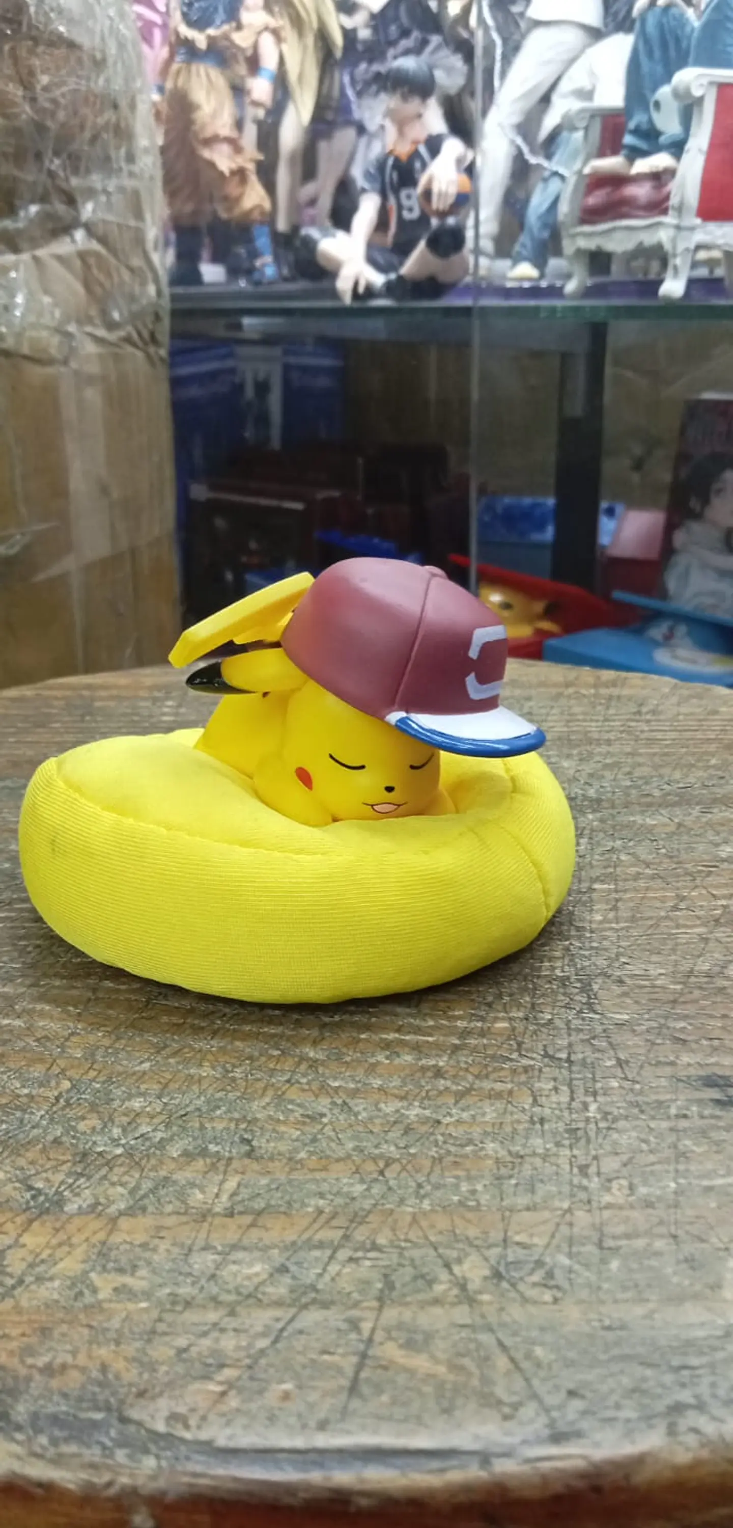 Pokemon durmiendo 2