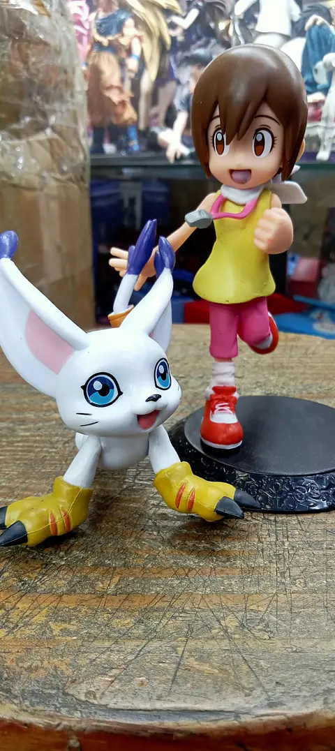 Kari Kamiya & Gatomon - Digimon