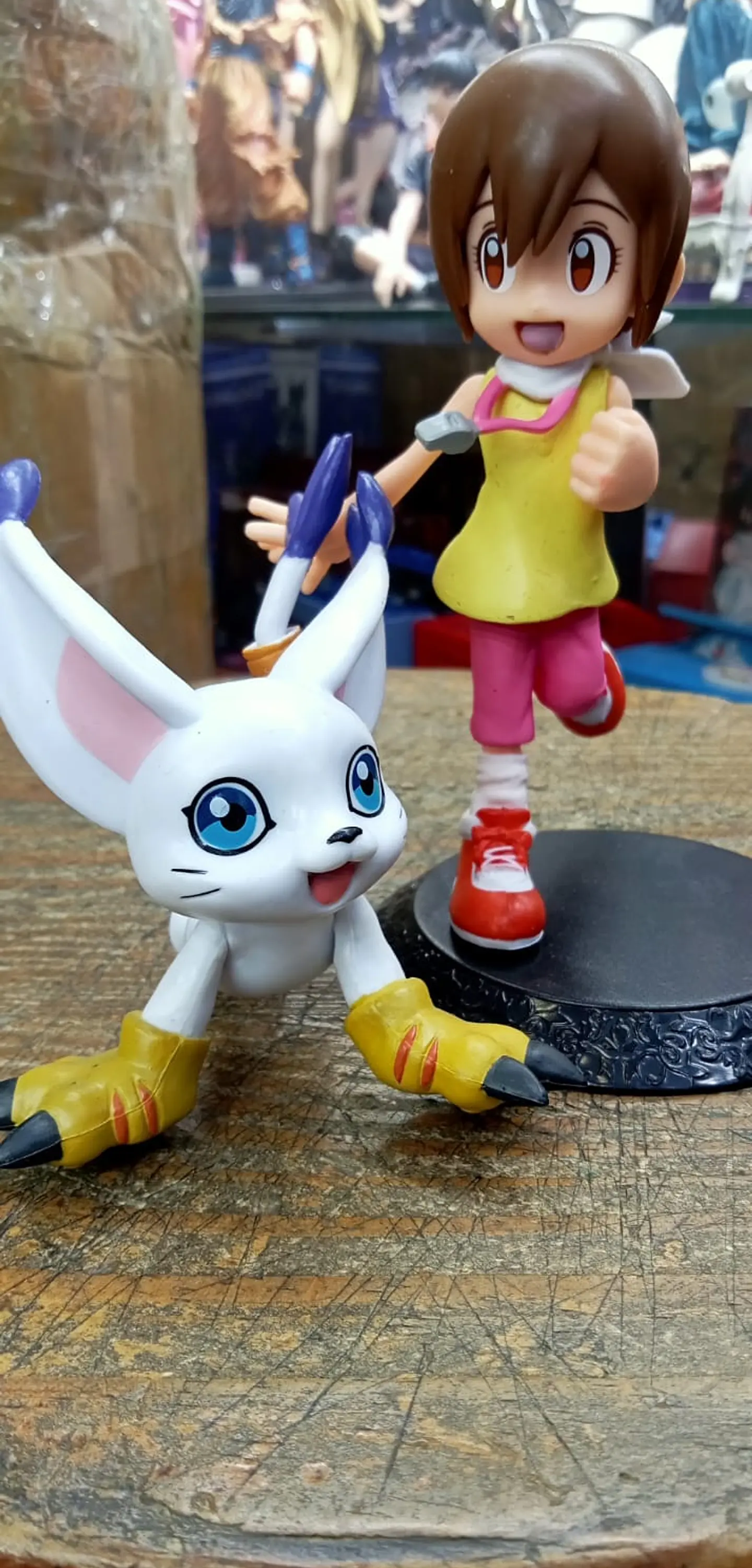 Kari Kamiya & Gatomon - Digimon 1