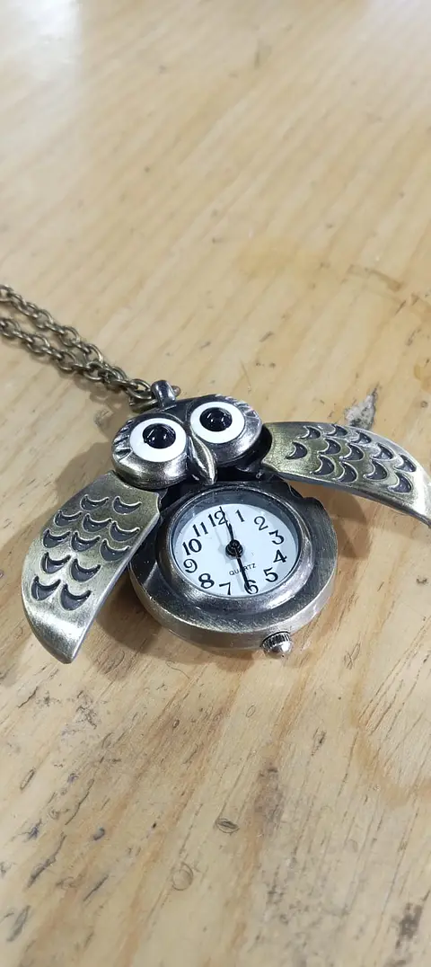 Hedwig Reloj- Harry potter