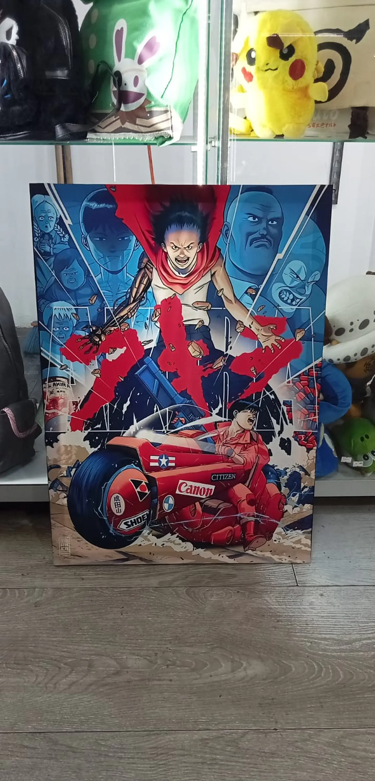 Cuadro de 1/2 Pliego 2