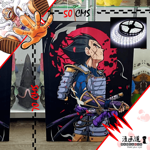 Cuadro de 1/2 Pliego