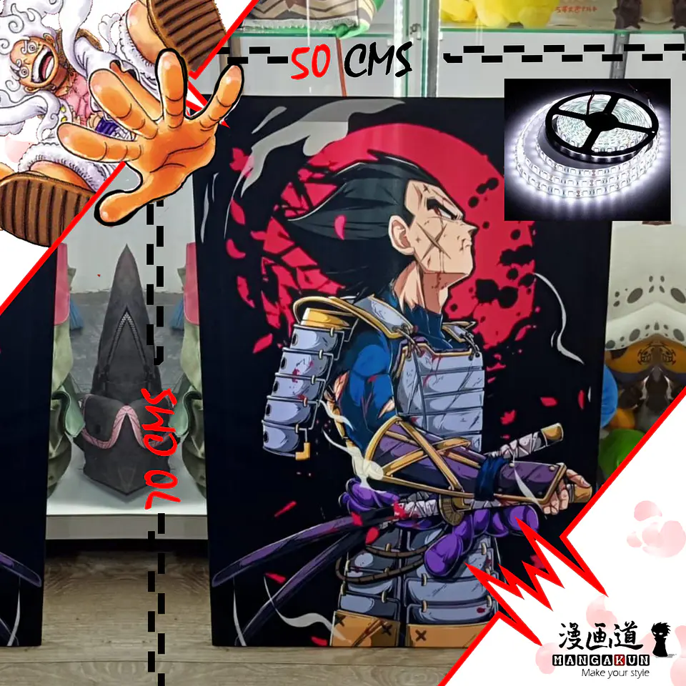 Cuadro de 1/2 Pliego 1