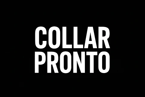 Snitch - collar - harry potter 