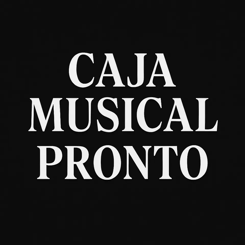 caja musical - One piece  1