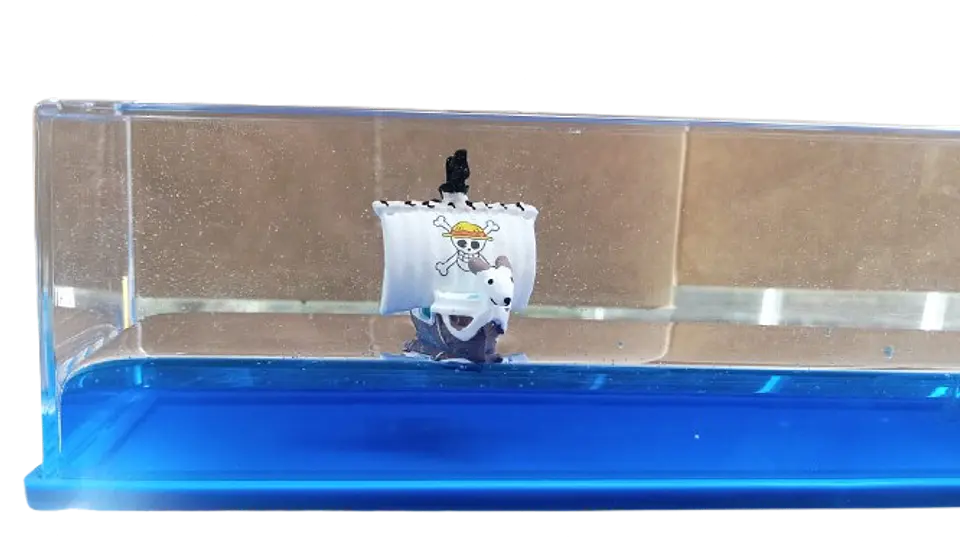 BARCO RECTANGULO - ONE PIECE 1