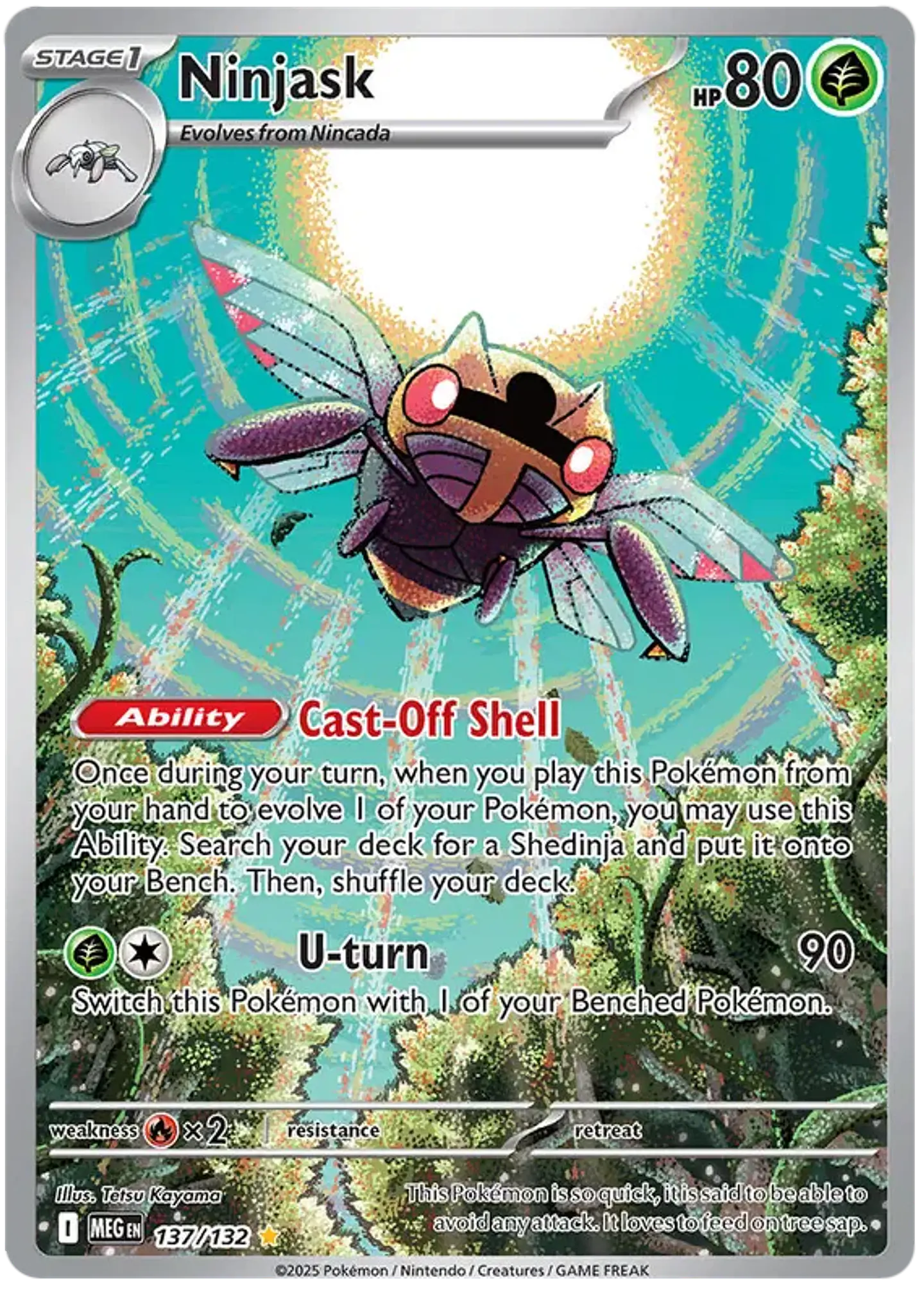 Ninjask - megaevolution - megaevolucion 1