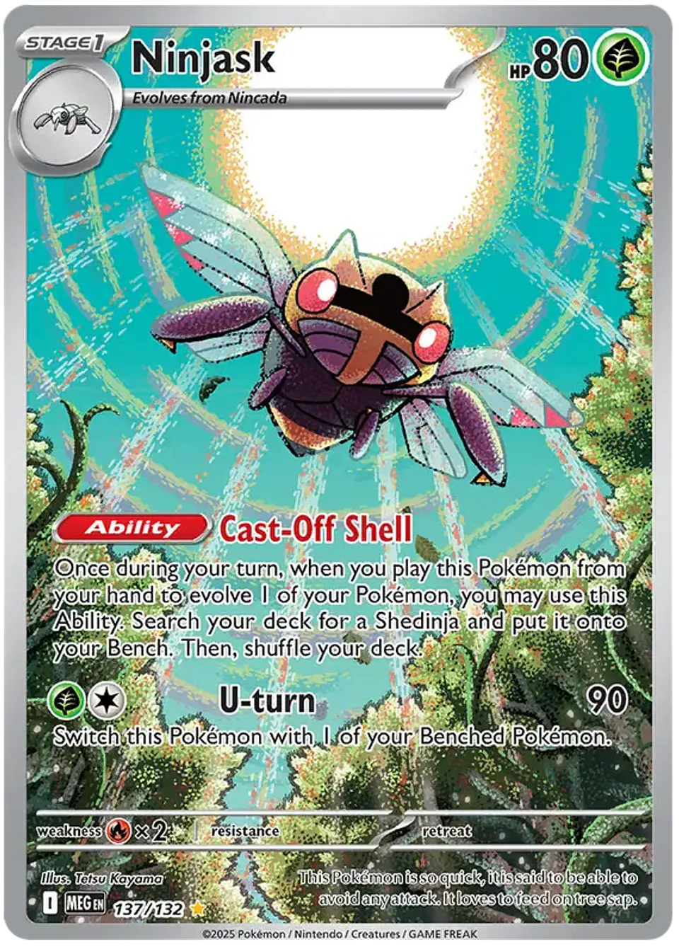 Ninjask - megaevolution - megaevolucion 1