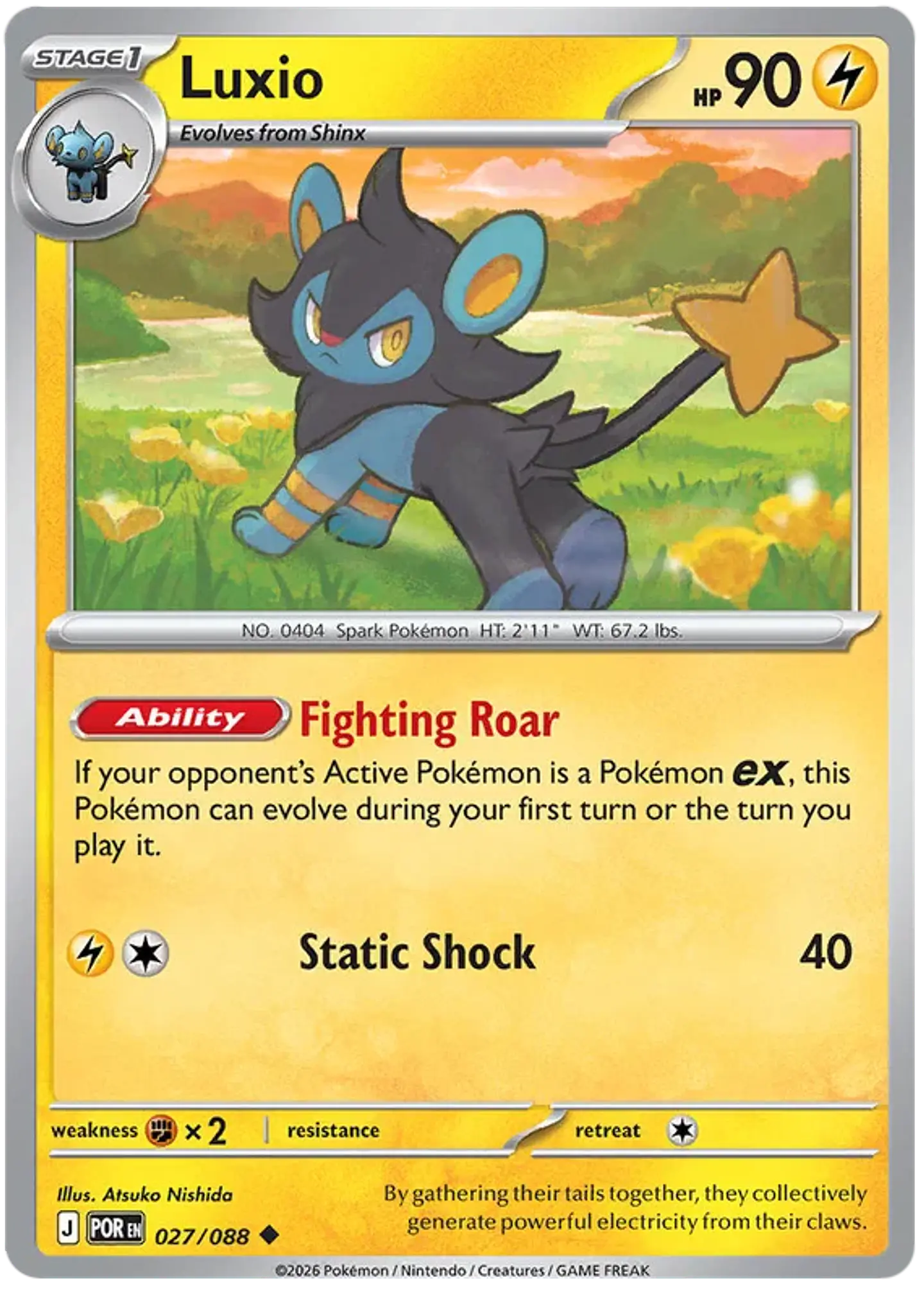 Luxio - Perfect order - Orden perfecta  1