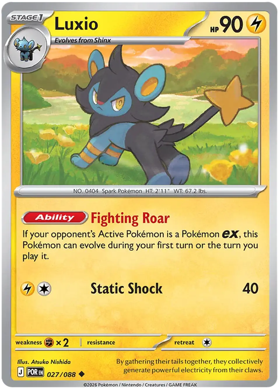 Luxio - Perfect order - Orden perfecta  1