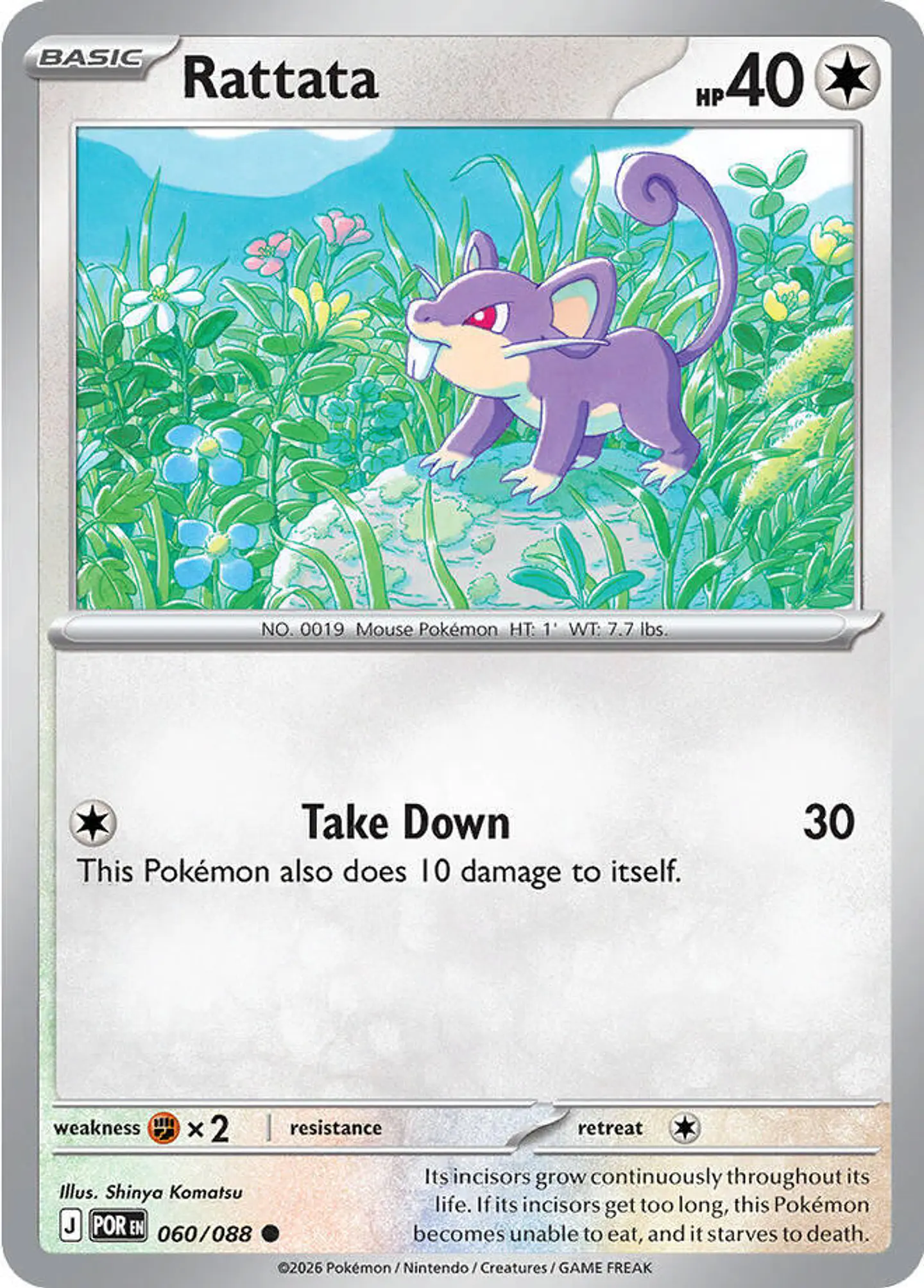 Rattata - Perfect Order 1