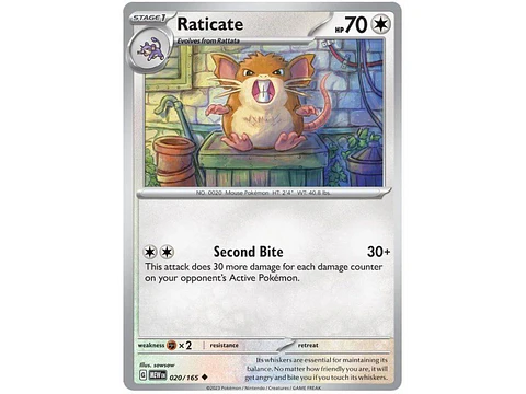 Raticate - 151 