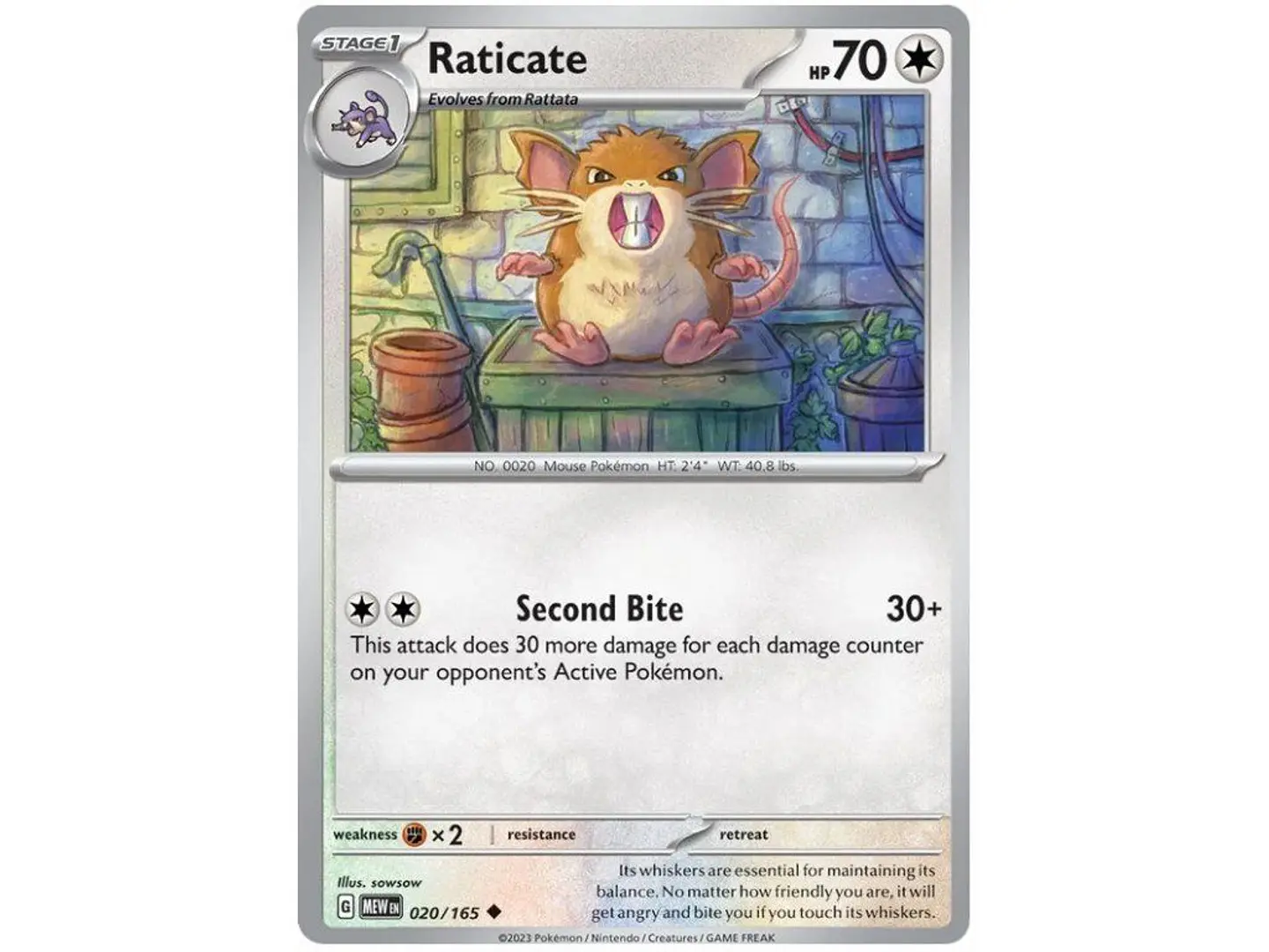 Raticate - 151  1