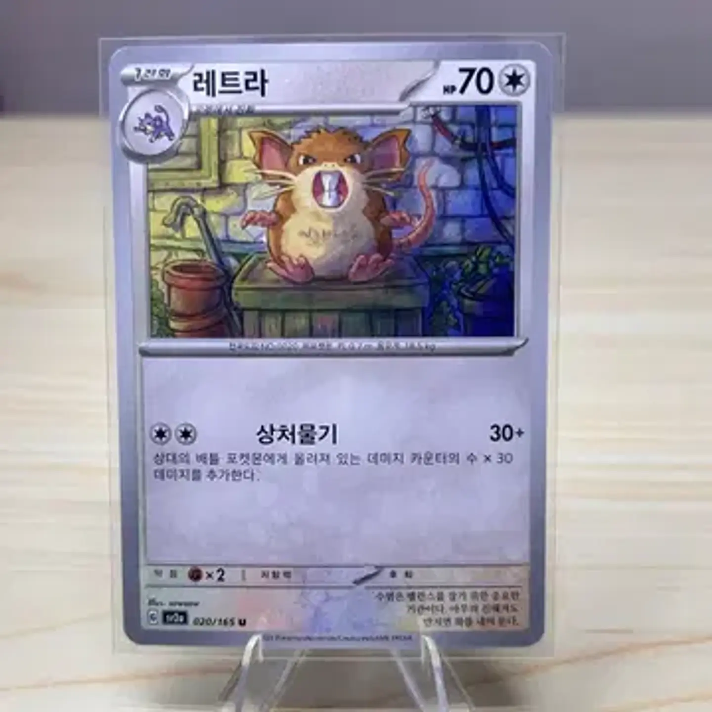 Raticate sv2a - Koreana  1