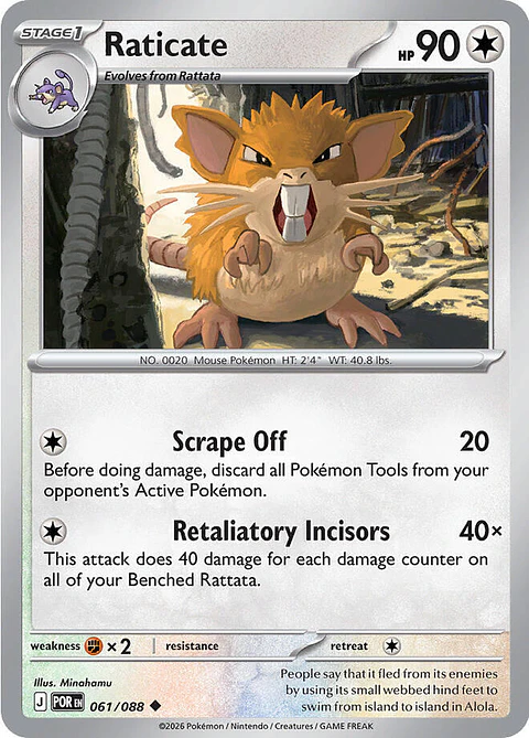 Raticate - Perfect Order 