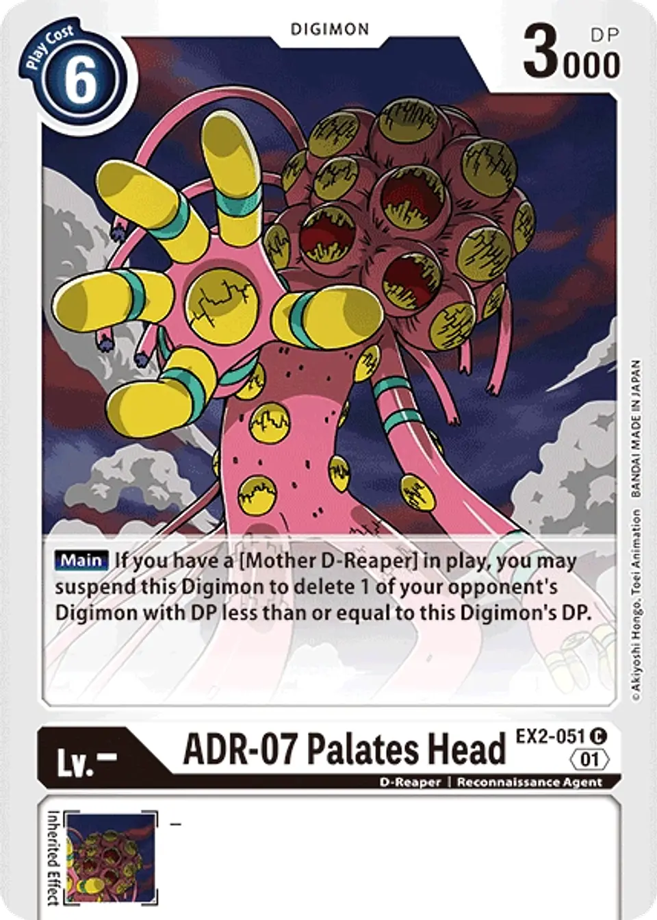 ADR 07 PALATES HEAD EX2-051 1