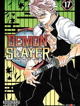Demon Slayer - Kimetsu No Yaiba ~ 17