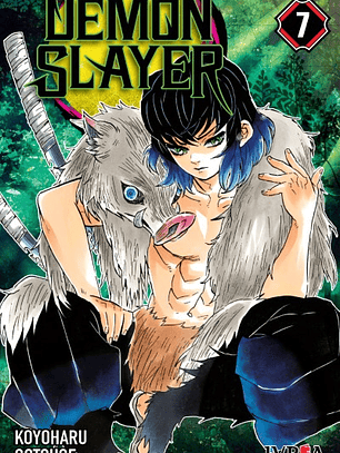 Demon Slayer - Kimetsu No Yaiba ~ 07