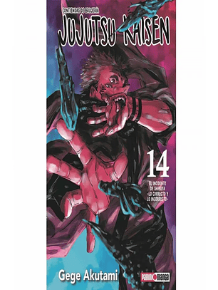 Jujutsu Kaisen ~ 14