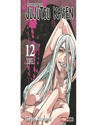Jujutsu Kaisen ~ 12