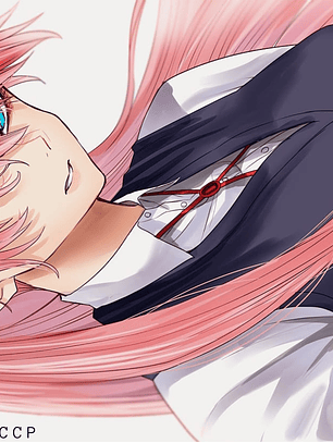 Postal Coleccionable N° 4