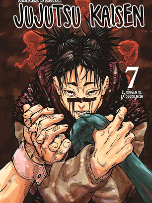 Jujutsu Kaisen ~ 07