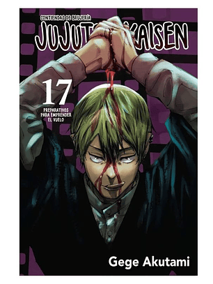 Jujutsu Kaisen ~ 17