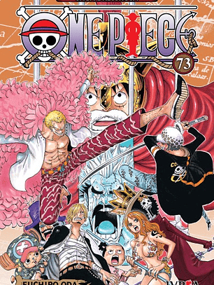 One Piece ~ 73