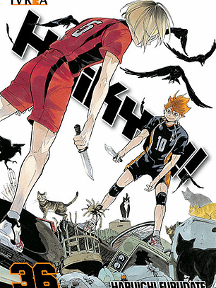Haikyu!! ~ 36 [Ivrea Argentina]