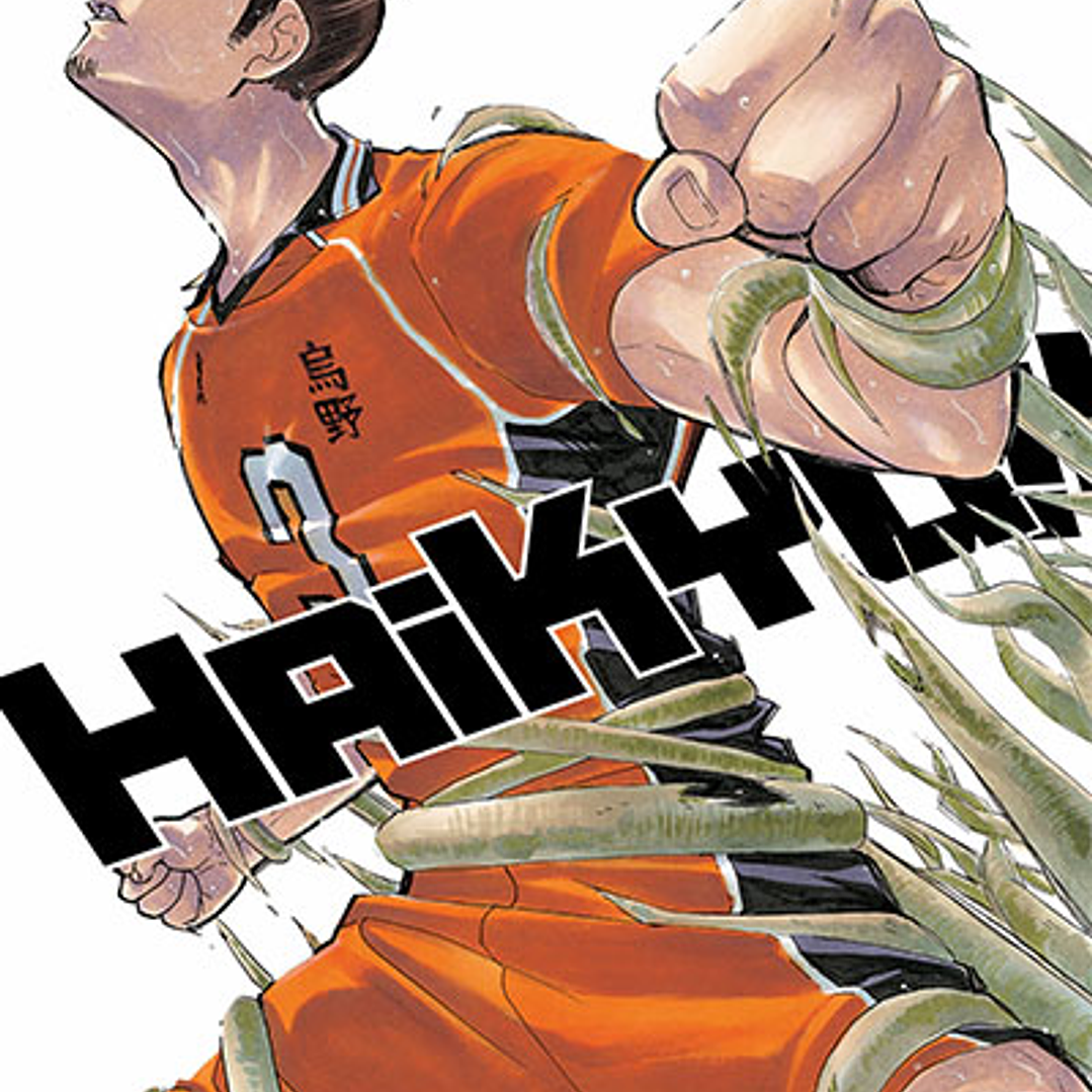 Haikyu!! ~ 40 [Ivrea Argentina] 1