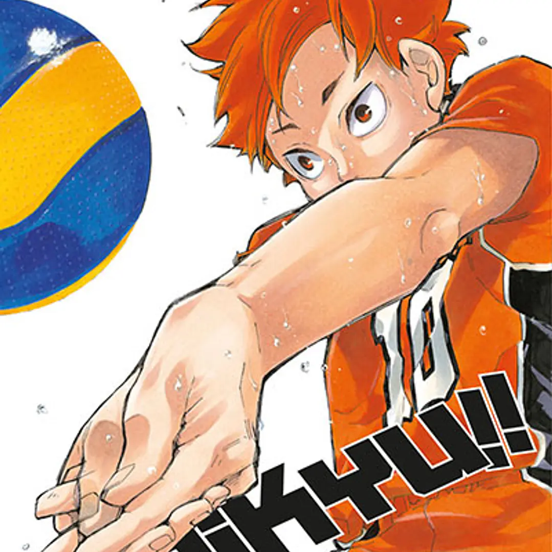 Haikyu!! ~ 33 [Ivrea Argentina] 1