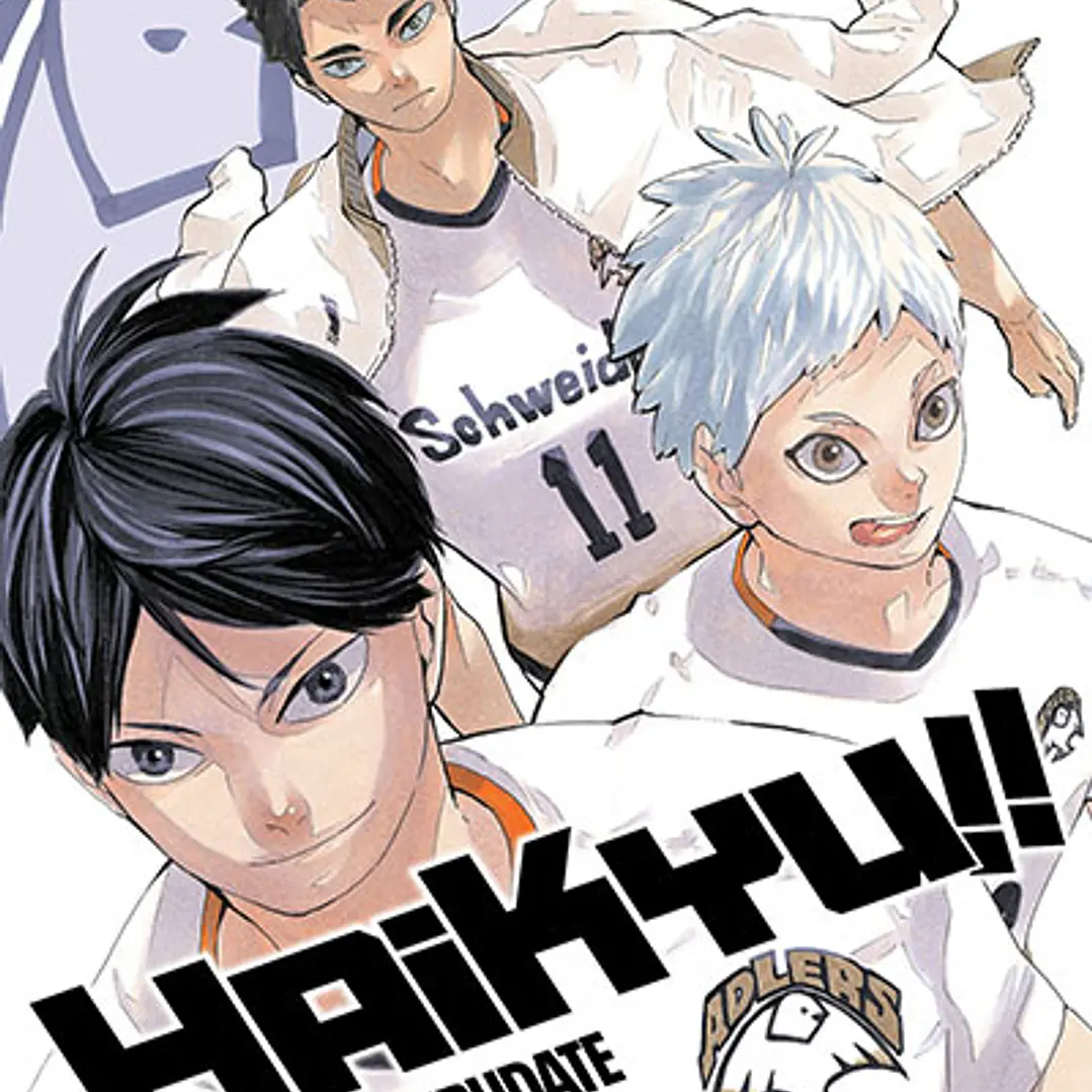 Haikyu!! ~ 43 [Ivrea Argentina] 1