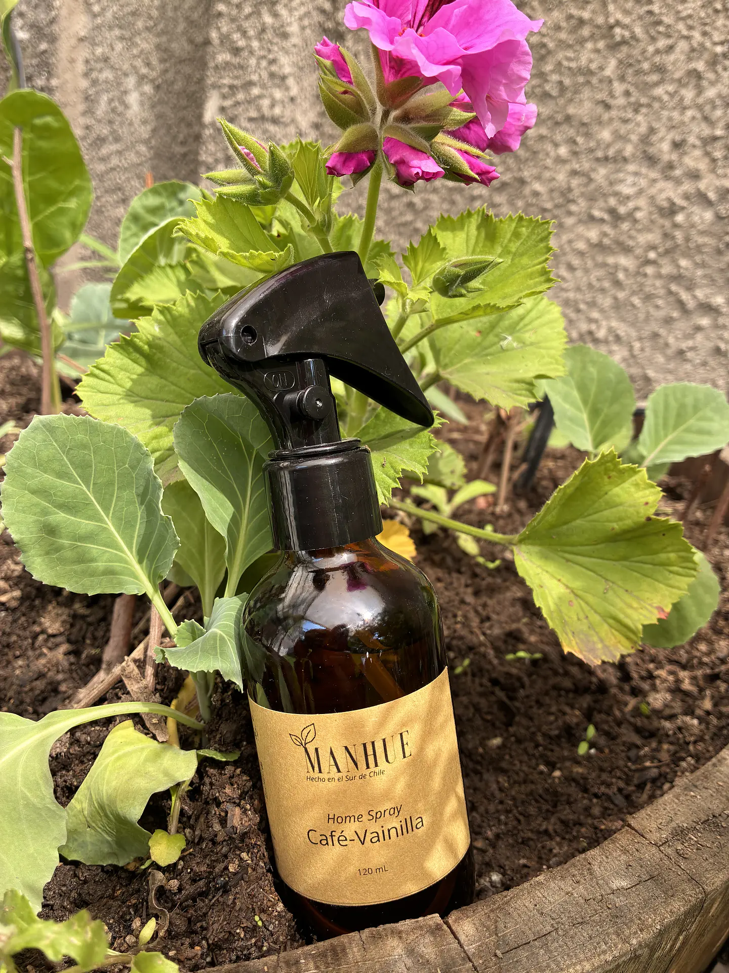 Home Spray Cafe- Vainilla 3