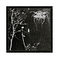 Darkthrone parches - Miniatura 11