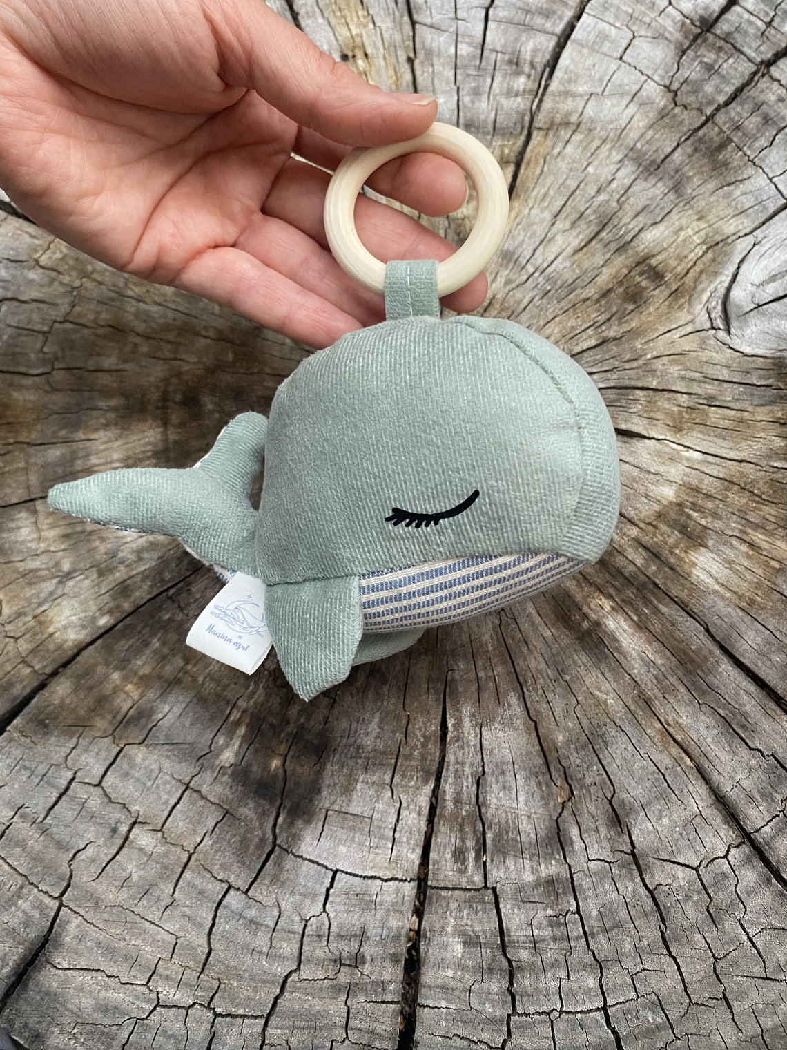 Sonajero de ballena  1