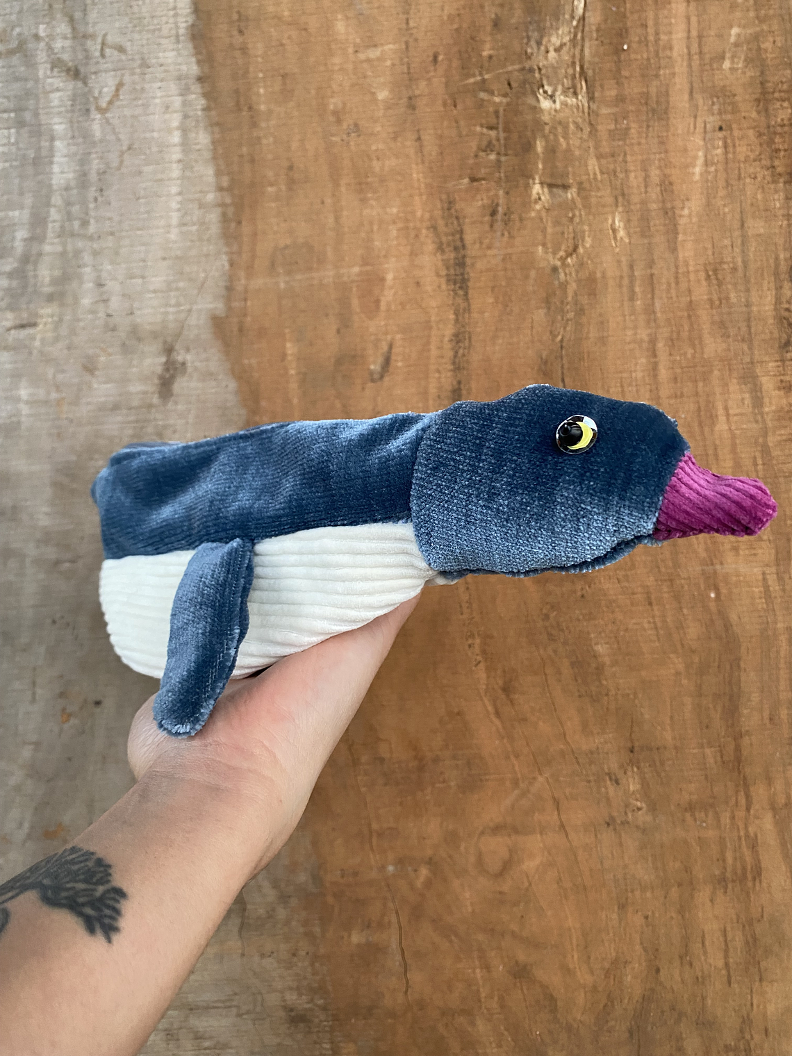 Estuche pingüino - azul piedra 2