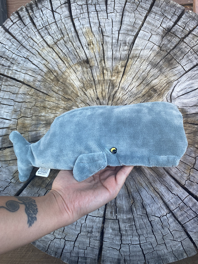 Estuche cachalote  1