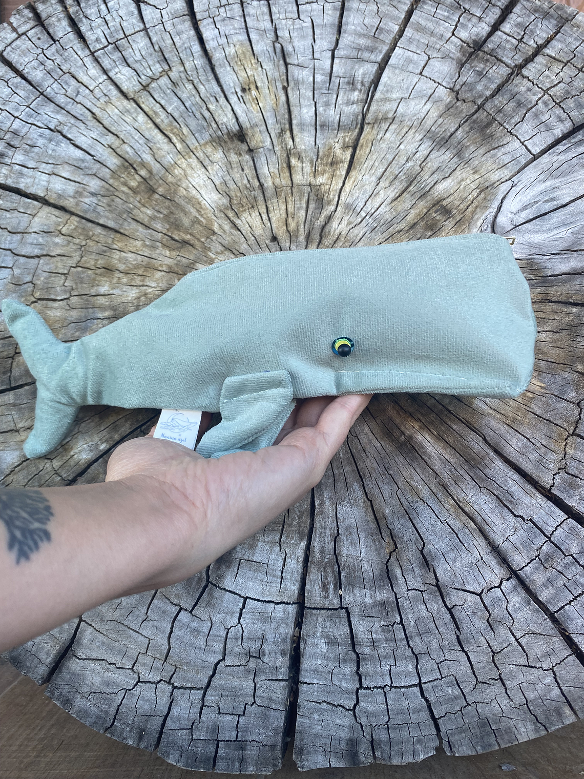 Estuche cachalote  1