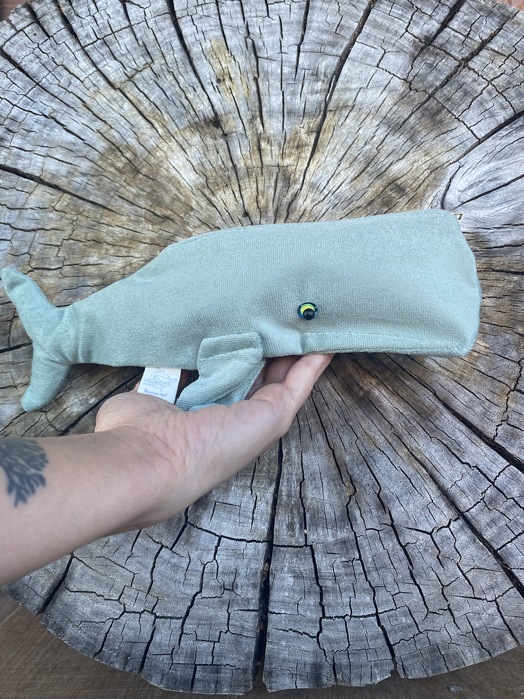 Estuche cachalote  1