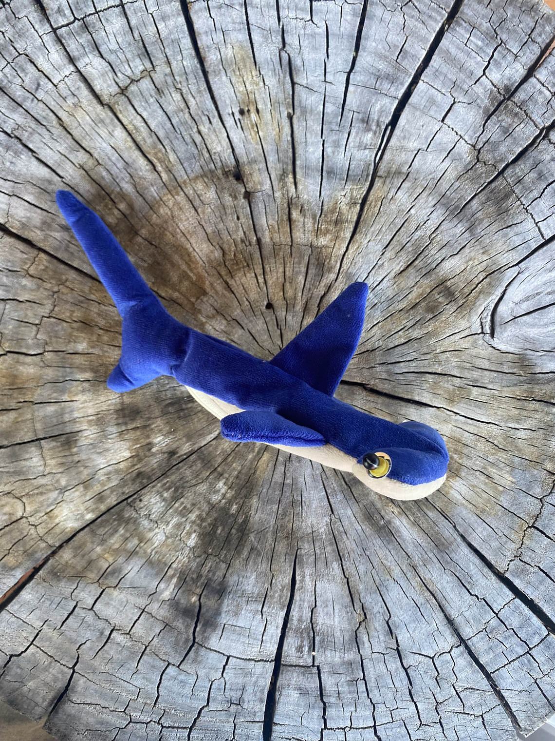 Monedero Tiburón martillo 1