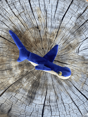 Monedero Tiburón martillo