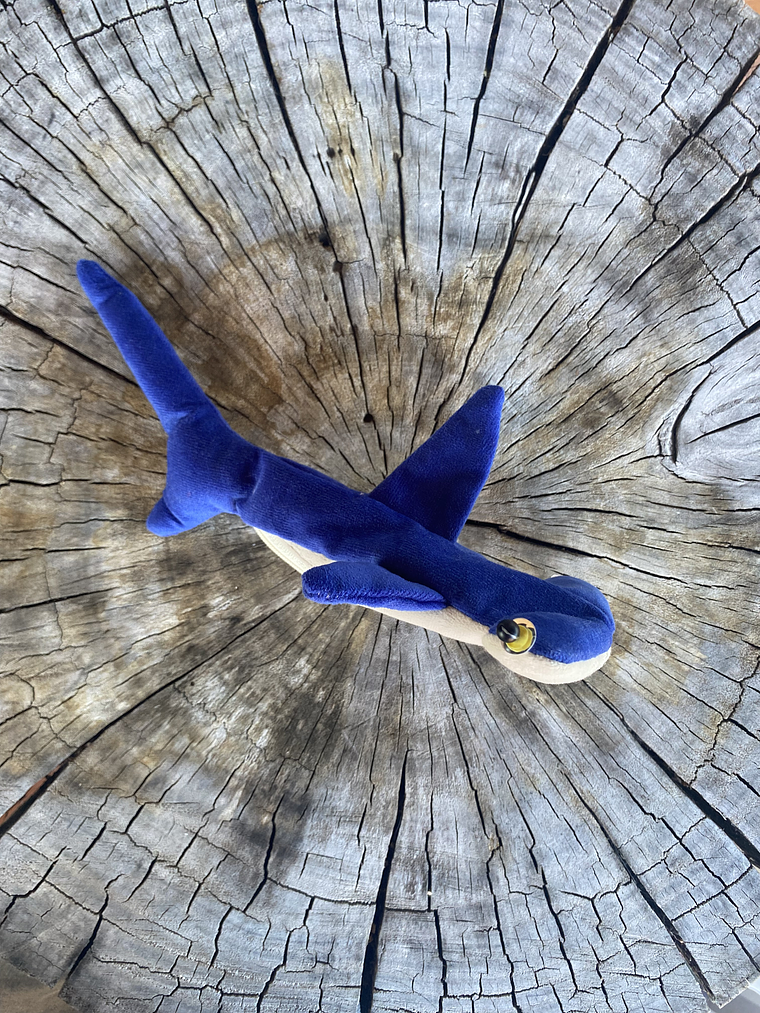 Monedero Tiburón martillo 1