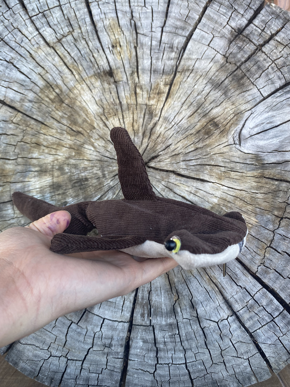 Monedero Tiburón martillo 1